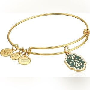 Alex and Ani charm bangle.